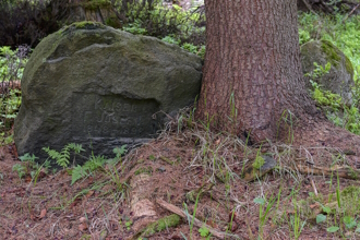 Kunčice - panství Kolštejn