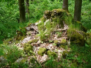 Nové Zámky u Litovle